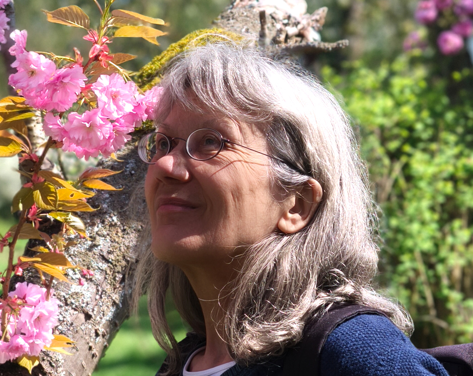 Elisabeth Seevers